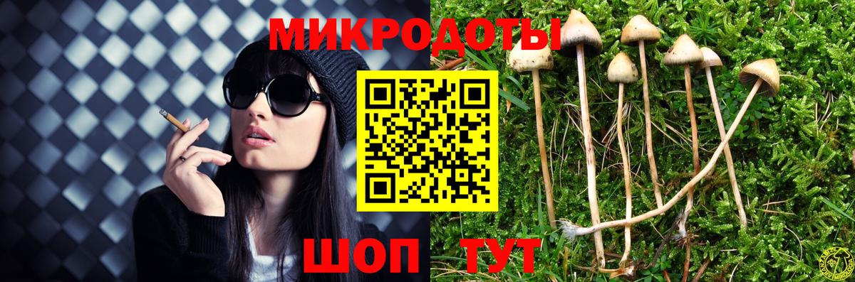 Псилоцибиновые грибы Magic Shrooms  Псилоцибиновые грибы Magic Shrooms  где можно купить наркотик  Гусь-Хрустальный  Вход с VPN 